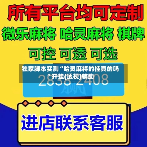 独家脚本实测“哈灵麻将的挂真的吗”开挂(透视)辅助