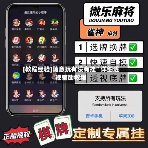 [教程经验]随意玩有没有挂”详细透视辅助教程-第3张图片