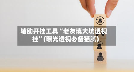 辅助开挂工具“老友填大坑透视挂”(曝光透视必备猫腻)-第2张图片