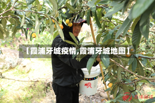 【霞浦牙城疫情,霞浦牙城地图】-第2张图片
