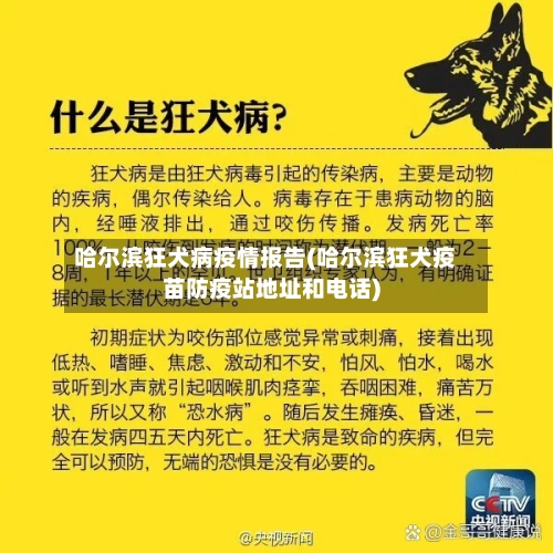 哈尔滨狂犬病疫情报告(哈尔滨狂犬疫苗防疫站地址和电话)-第2张图片