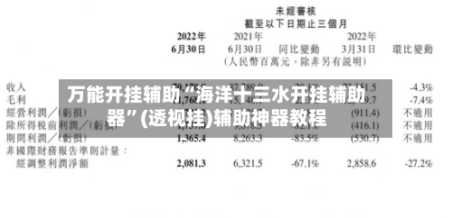 万能开挂辅助“海洋十三水开挂辅助器”(透视挂)辅助神器教程-第2张图片