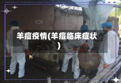 羊痘疫情(羊痘临床症状)-第2张图片