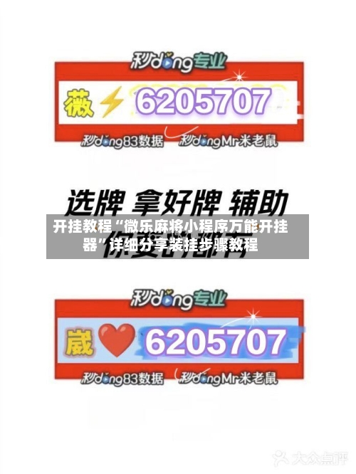 开挂教程“微乐麻将小程序万能开挂器”详细分享装挂步骤教程-第2张图片