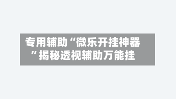 专用辅助“微乐开挂神器”揭秘透视辅助万能挂-第2张图片