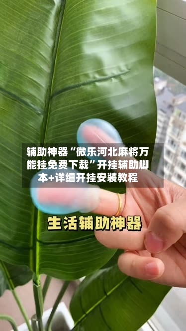 辅助神器“微乐河北麻将万能挂免费下载”开挂辅助脚本+详细开挂安装教程-第2张图片