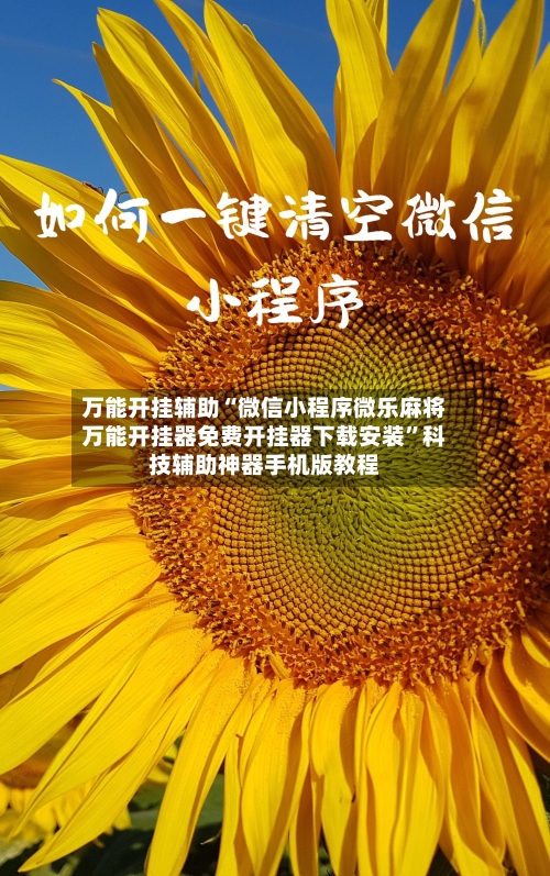 万能开挂辅助“微信小程序微乐麻将万能开挂器免费开挂器下载安装”科技辅助神器手机版教程-第2张图片