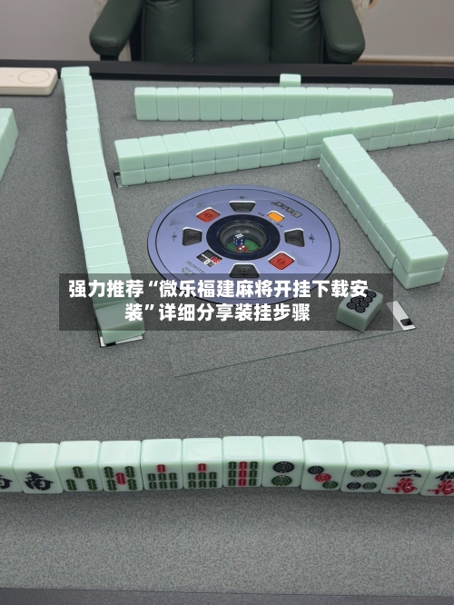 强力推荐“微乐福建麻将开挂下载安装”详细分享装挂步骤-第3张图片