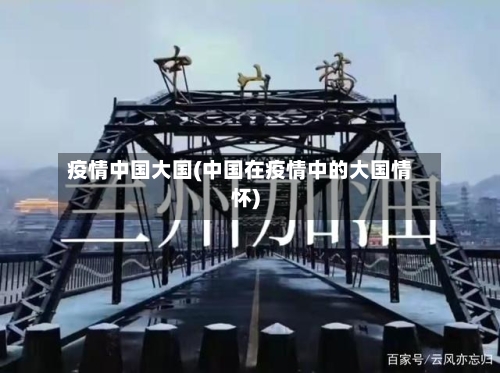 疫情中国大国(中国在疫情中的大国情怀)