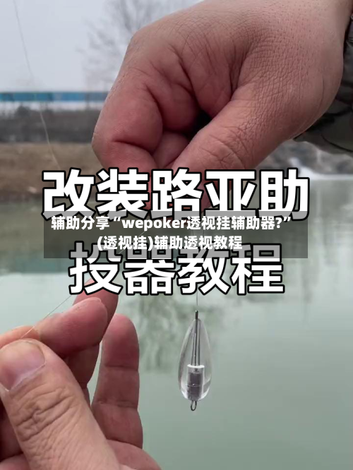 辅助分享“wepoker透视挂辅助器?	”(透视挂)辅助透视教程-第2张图片