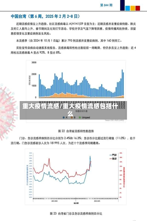 重大疫情流感/重大疫情流感包括什么