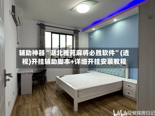 辅助神器“湖北雅苑麻将必胜软件”(透视)开挂辅助脚本+详细开挂安装教程-第3张图片