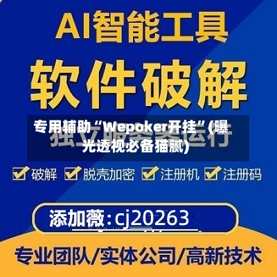 专用辅助“Wepoker开挂	”(曝光透视必备猫腻)-第2张图片