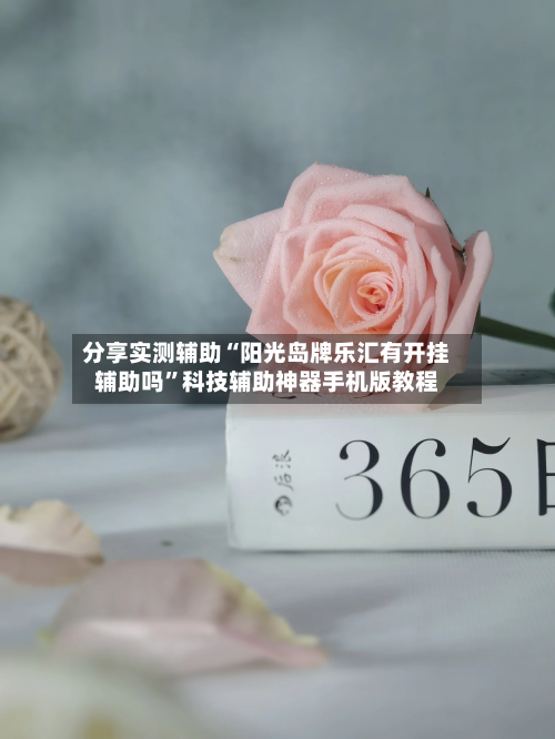 分享实测辅助“阳光岛牌乐汇有开挂辅助吗	”科技辅助神器手机版教程-第2张图片