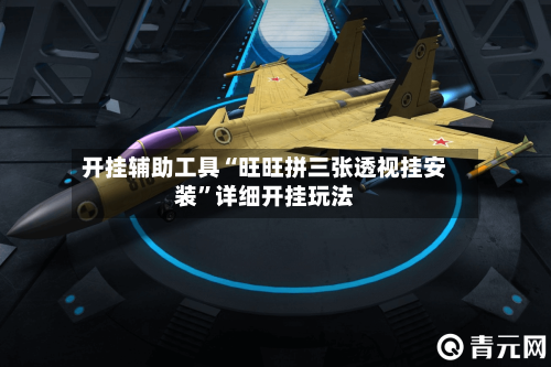 开挂辅助工具“旺旺拼三张透视挂安装”详细开挂玩法-第3张图片
