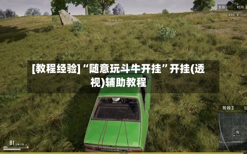 [教程经验]“随意玩斗牛开挂	”开挂(透视)辅助教程-第2张图片