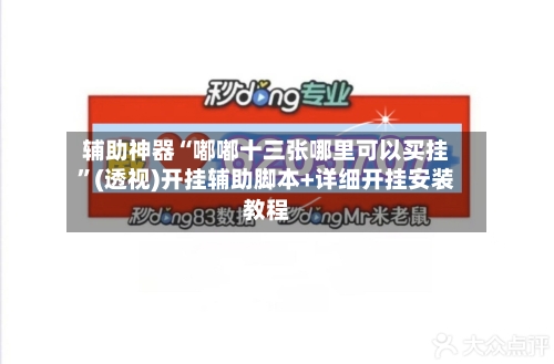 辅助神器“嘟嘟十三张哪里可以买挂”(透视)开挂辅助脚本+详细开挂安装教程-第2张图片