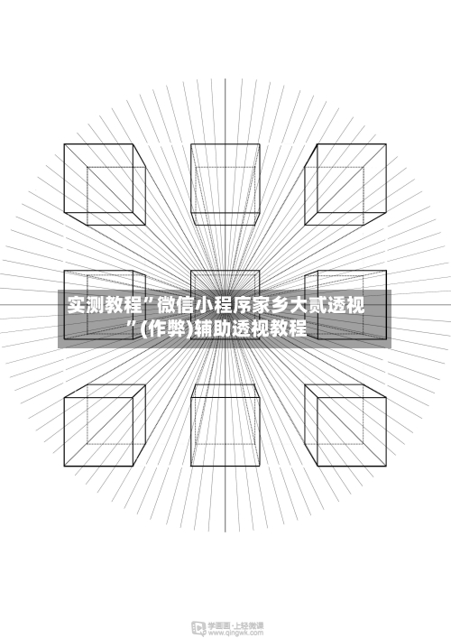 实测教程”微信小程序家乡大贰透视”(作弊)辅助透视教程-第2张图片