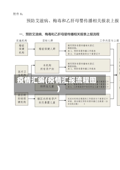 疫情汇编(疫情汇报流程图)
