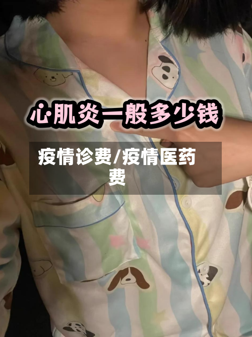 疫情诊费/疫情医药费-第2张图片