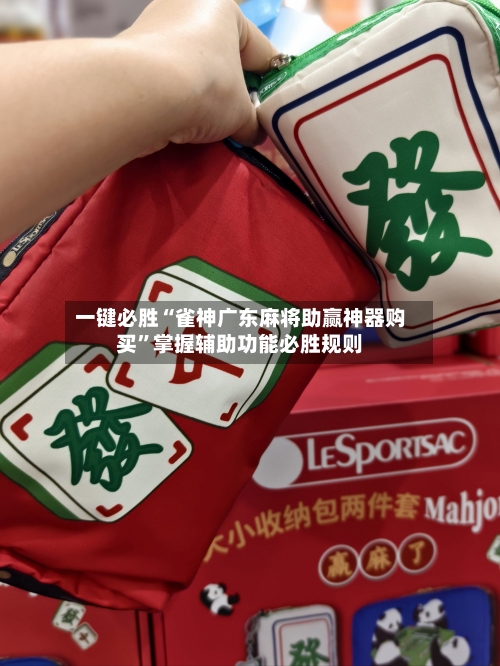 一键必胜“雀神广东麻将助赢神器购买”掌握辅助功能必胜规则-第3张图片