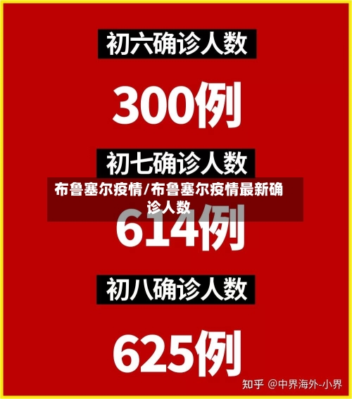 布鲁塞尔疫情/布鲁塞尔疫情最新确诊人数-第2张图片