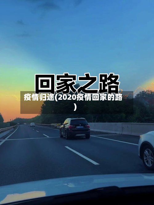 疫情归途(2020疫情回家的路)