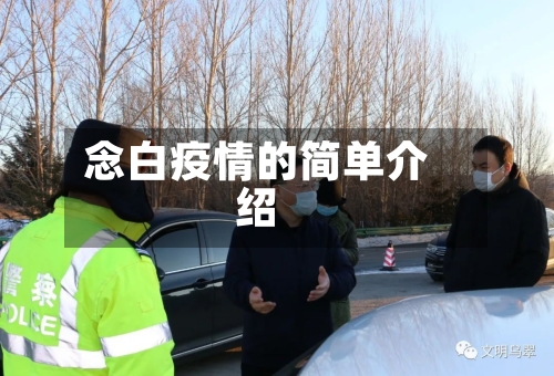念白疫情的简单介绍-第3张图片