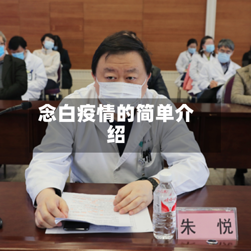 念白疫情的简单介绍-第2张图片