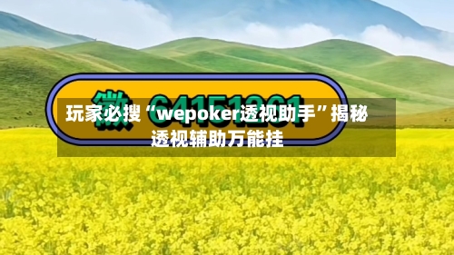 玩家必搜“wepoker透视助手”揭秘透视辅助万能挂-第2张图片