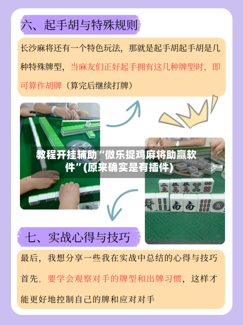 教程开挂辅助“微乐捉鸡麻将助赢软件”(原来确实是有插件)