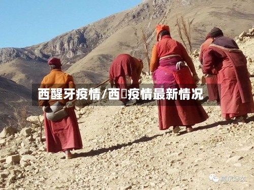 西醒牙疫情/西蔵疫情最新情况