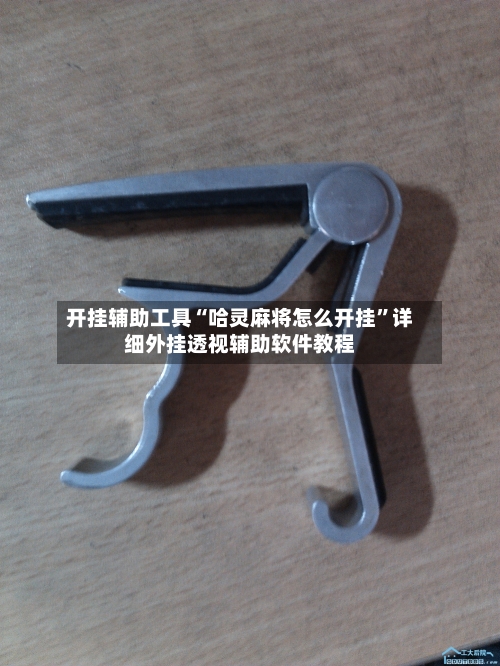 开挂辅助工具“哈灵麻将怎么开挂	”详细外挂透视辅助软件教程-第3张图片