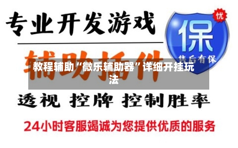 教程辅助“微乐辅助器	”详细开挂玩法-第2张图片