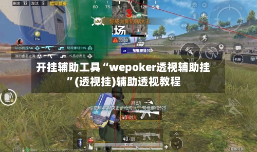 开挂辅助工具“wepoker透视辅助挂	”(透视挂)辅助透视教程-第2张图片