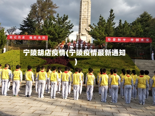 宁陵胡店疫情(宁陵疫情最新通知)