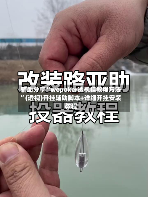 辅助分享“wepoker透视挂教程方法”(透视)开挂辅助脚本+详细开挂安装教程-第3张图片