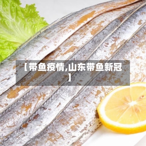 【带鱼疫情,山东带鱼新冠】-第2张图片