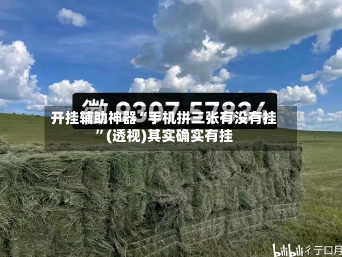 开挂辅助神器“手机拼三张有没有挂”(透视)其实确实有挂-第2张图片