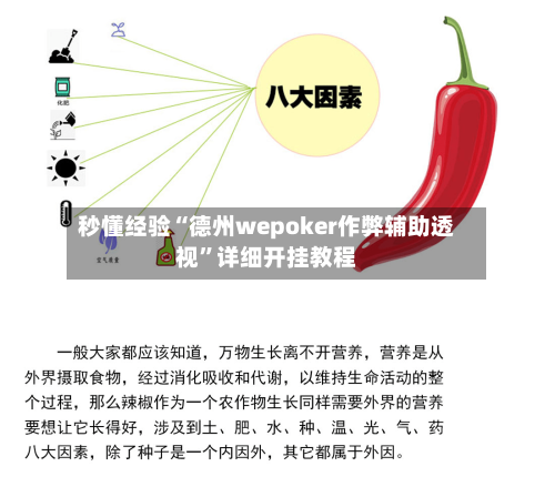 秒懂经验“德州wepoker作弊辅助透视”详细开挂教程