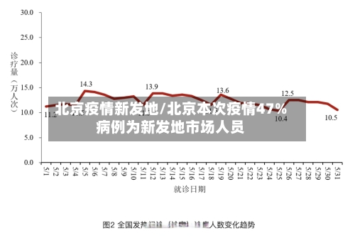 北京疫情新发地/北京本次疫情47%病例为新发地市场人员