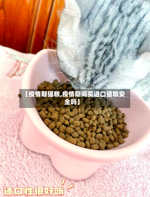 【疫情期猫粮,疫情期间买进口猫粮安全吗】-第2张图片