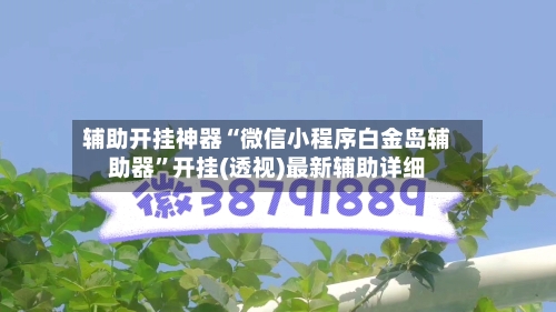 辅助开挂神器“微信小程序白金岛辅助器	”开挂(透视)最新辅助详细-第2张图片