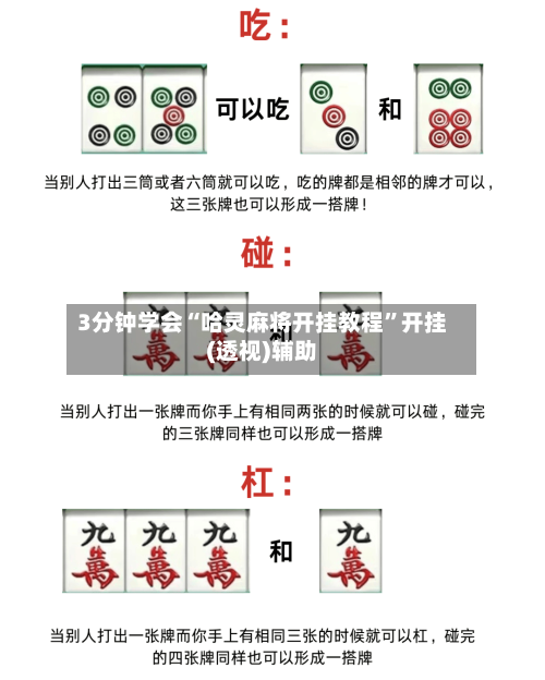 3分钟学会“哈灵麻将开挂教程”开挂(透视)辅助-第3张图片