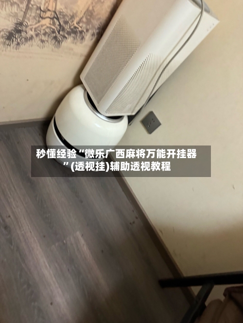 秒懂经验“微乐广西麻将万能开挂器	”(透视挂)辅助透视教程-第2张图片