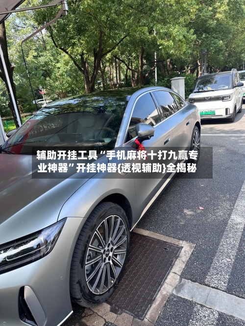 辅助开挂工具“手机麻将十打九赢专业神器”开挂神器{透视辅助}全揭秘-第3张图片