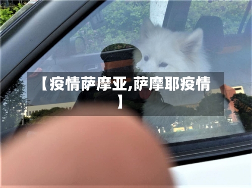 【疫情萨摩亚,萨摩耶疫情】-第2张图片