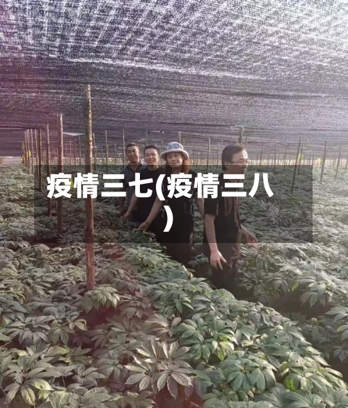 疫情三七(疫情三八)-第2张图片