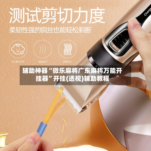 辅助神器“微乐麻将广东麻将万能开挂器”开挂(透视)辅助教程-第2张图片