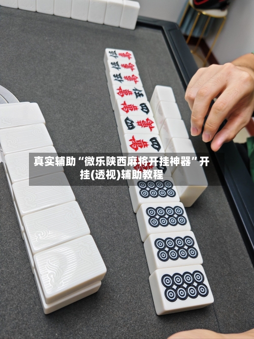 真实辅助“微乐陕西麻将开挂神器”开挂(透视)辅助教程-第3张图片